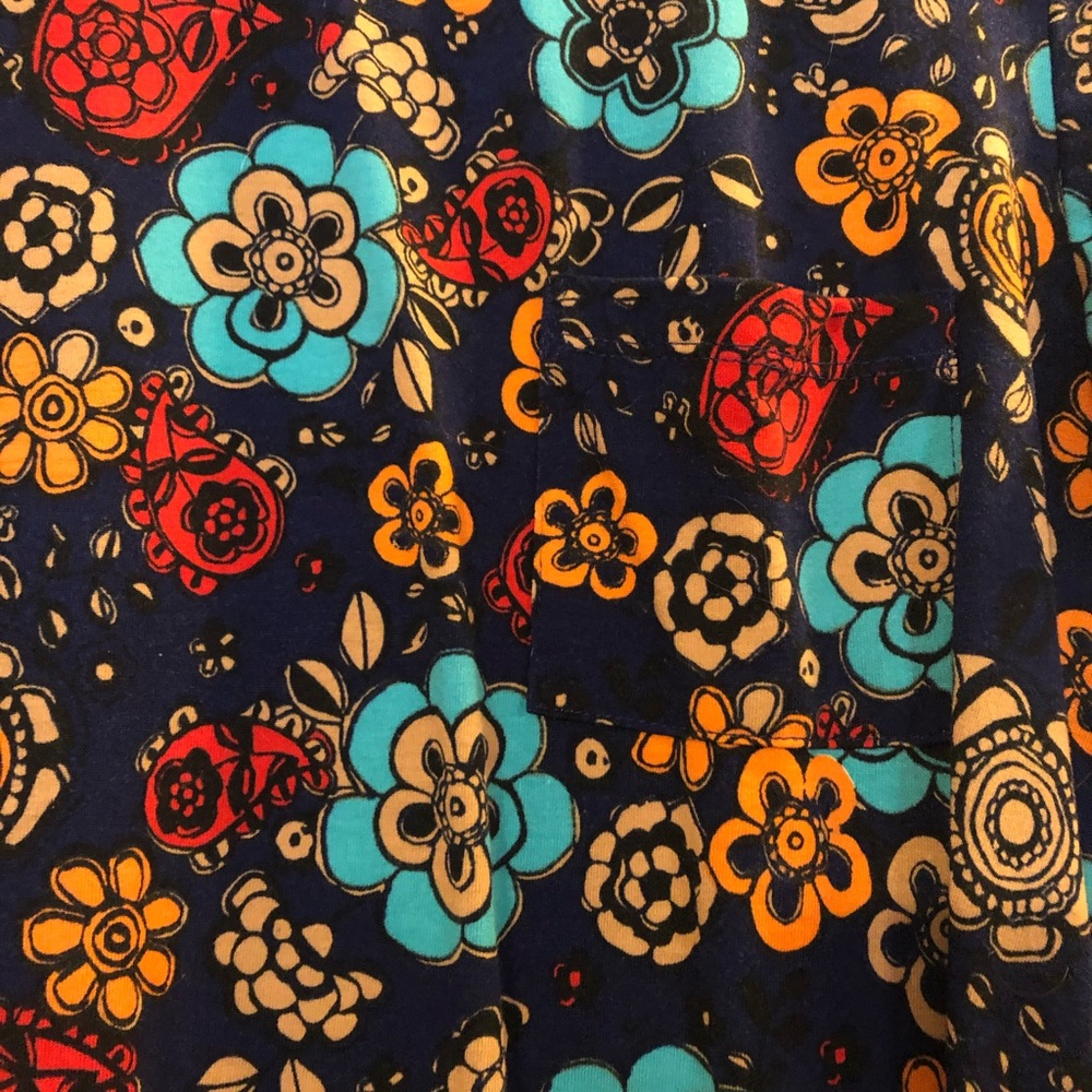 Lularoe Floral Carly Swing Dress- Size XS